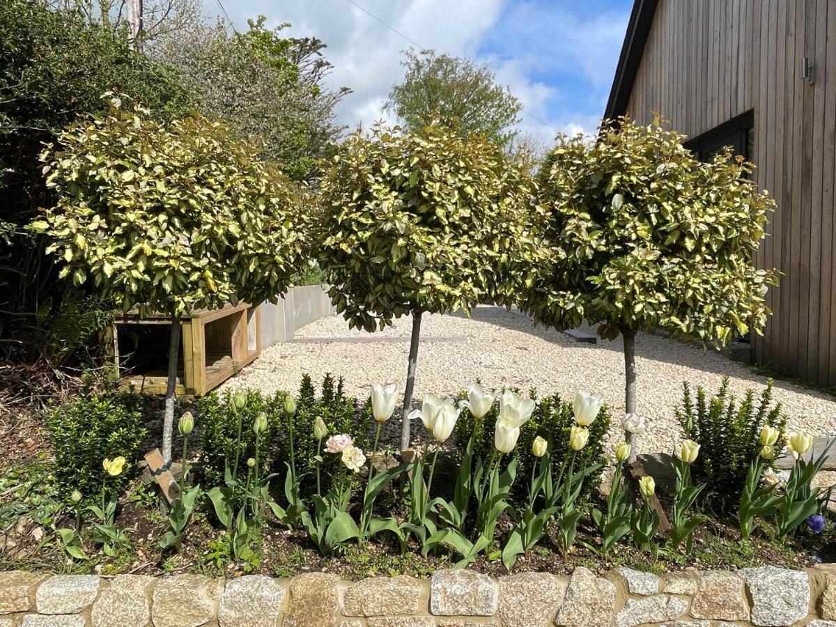 Гостьовий будинок Cedar House Ilsington Екстер'єр фото